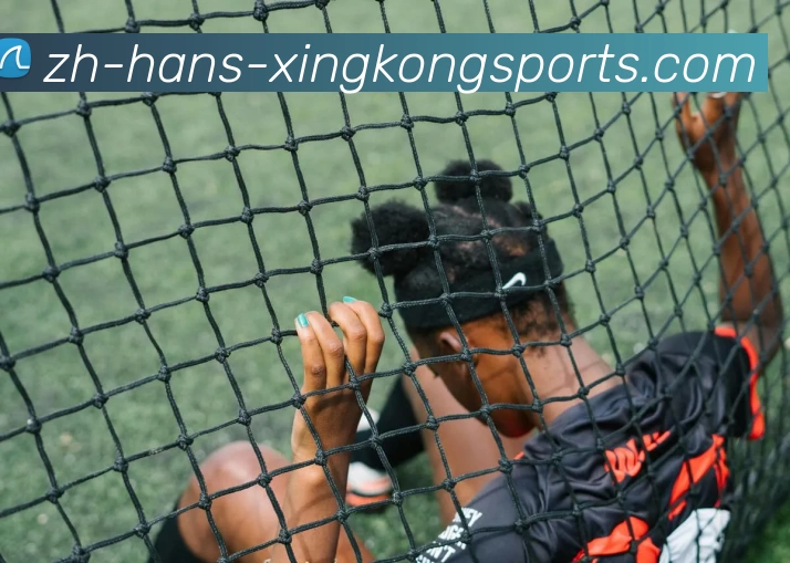 XK星空体育发展历程