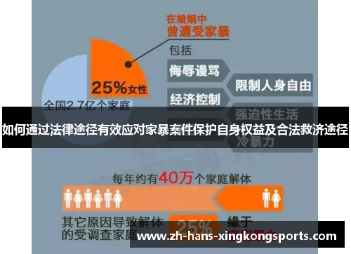 如何通过法律途径有效应对家暴案件保护自身权益及合法救济途径