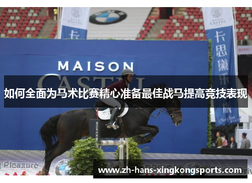 如何全面为马术比赛精心准备最佳战马提高竞技表现