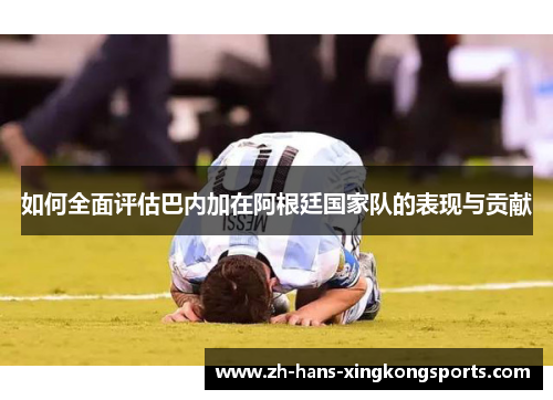 如何全面评估巴内加在阿根廷国家队的表现与贡献